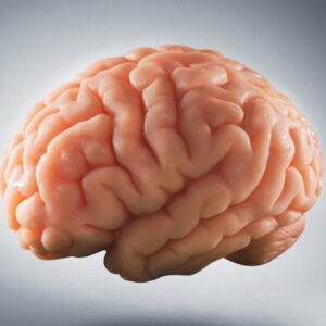 تقویت هوش و حافظه