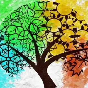 مزاج اعضای بدن اخلاط چهارگانه