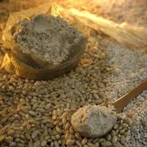 خرید سویق های طب اسلامی