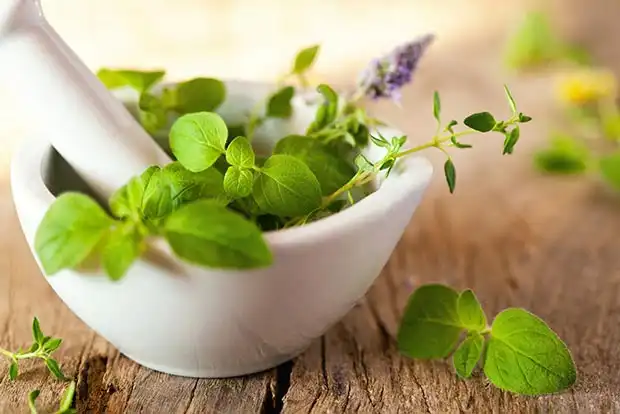 روغن مرزنجوش طب اسلامی
