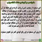 ابن مسعود - تصویر 4