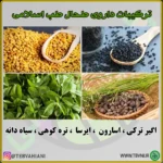 داروی طحال - تصویر 3