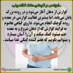 هاضوم - تصویر 4