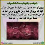 کور - باه مردان - تصویر 4