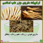 داروی جزر - تصویر 3