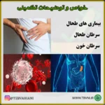 داروی طحال - تصویر 5