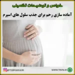آمادگی رحم - تصویر 5