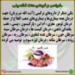 داروی حضرت (ص) - تصویر 4