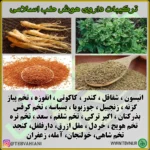 داروی هوش - تصویر 3