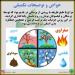 درد ریح - تصویر 5