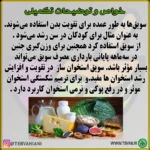 سویق استخوان ساز - تصویر 5