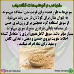 سویق کامل - تصویر 5