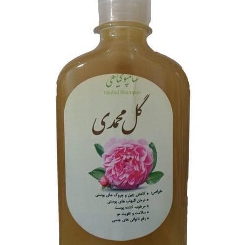 shampoogolmohammadi-Copy.jpg