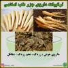 جزر