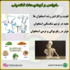 سویق استخوان ساز - تصویر 6