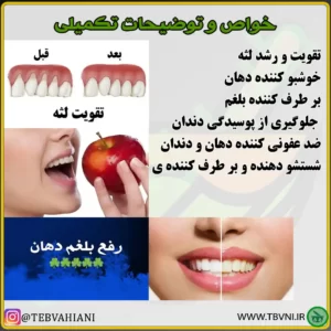 خواص پودر دندان طب اسلامی